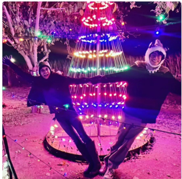 Visitors under a lit archway at the Gilbert Christmas light show
